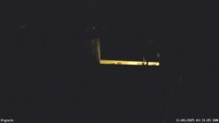 11/05/2025, 04:31