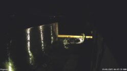 19/05/2025, 00:07