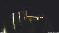 19/05/2025, 02:37