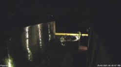 20/05/2025, 00:18