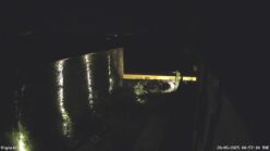 20/05/2025, 00:57