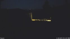 11/08/2025, 05:26